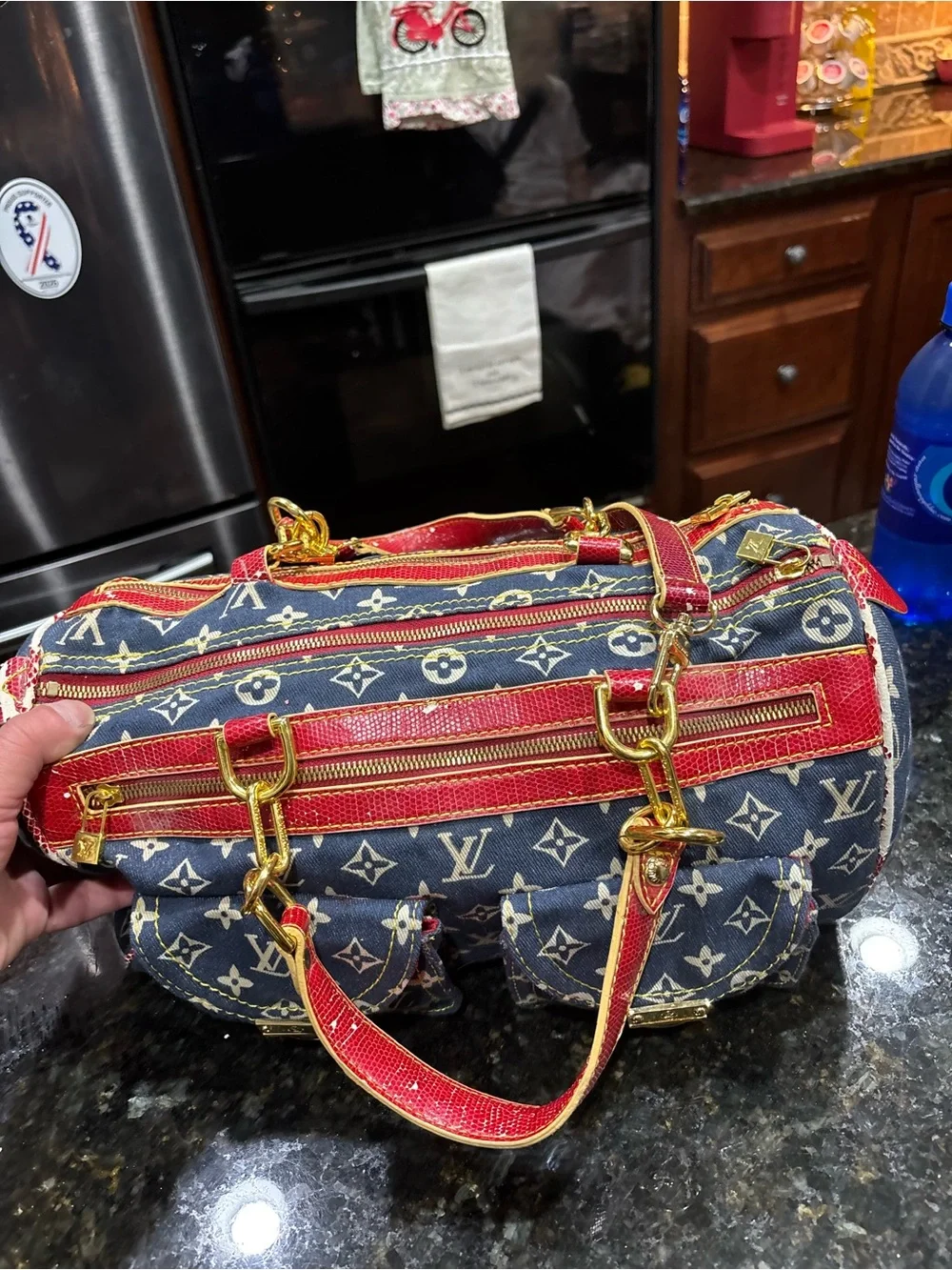 Louis Vuitton authentic louis